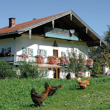 Hofbild Familie Fritz